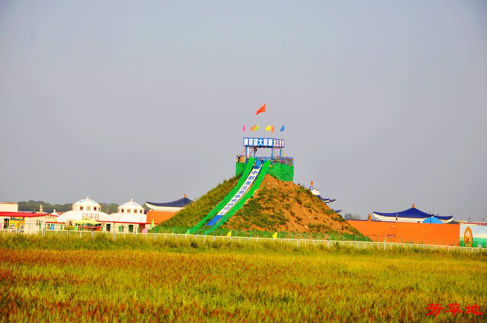 DSC_0250.jpg