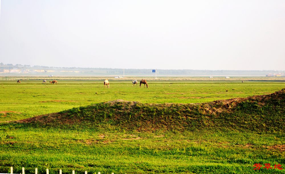 DSC_0263.jpg