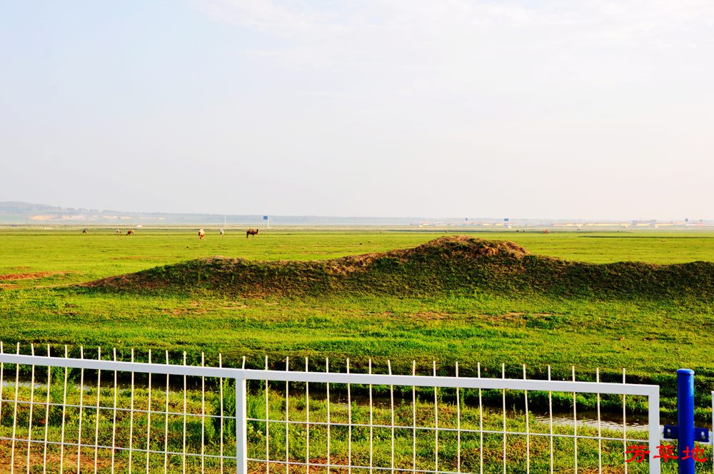 DSC_0265.jpg