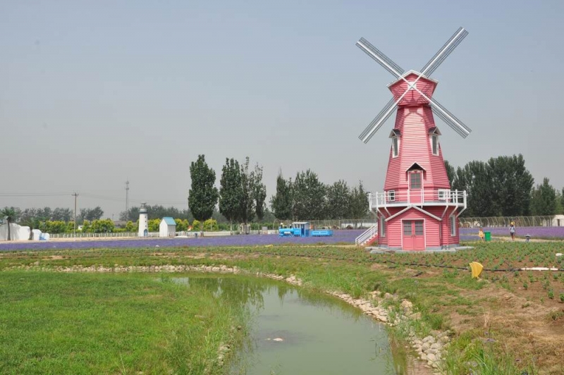 1=DSC_0674.jpg