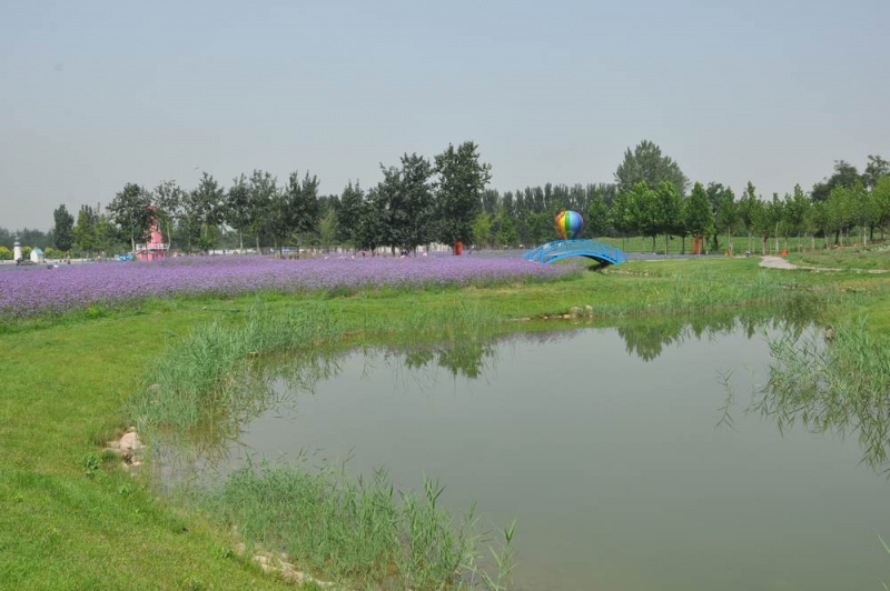 2=DSC_0669.jpg