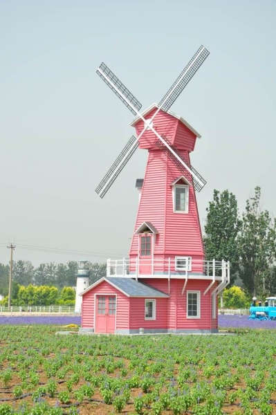 DSC_0672.jpg