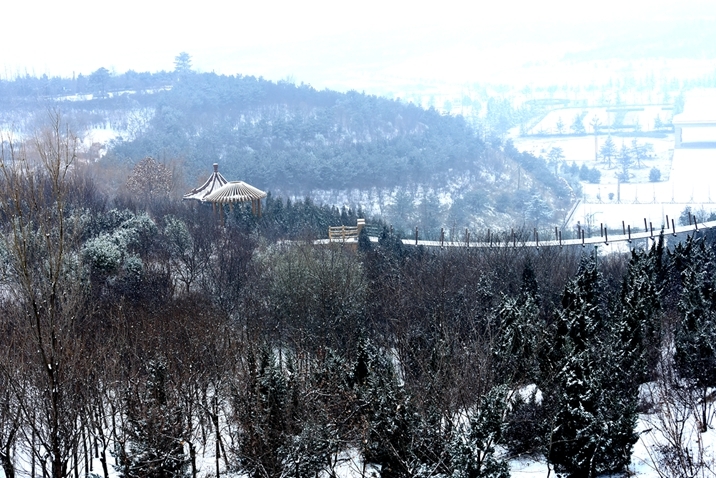 DSC_1158.JPG