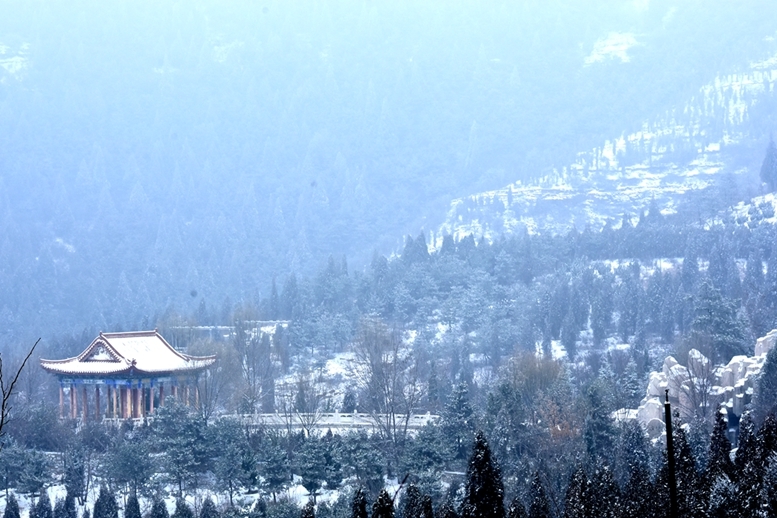 DSC_1160.JPG