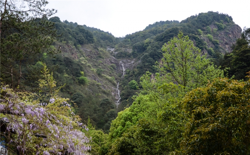 DSC_4272.jpg