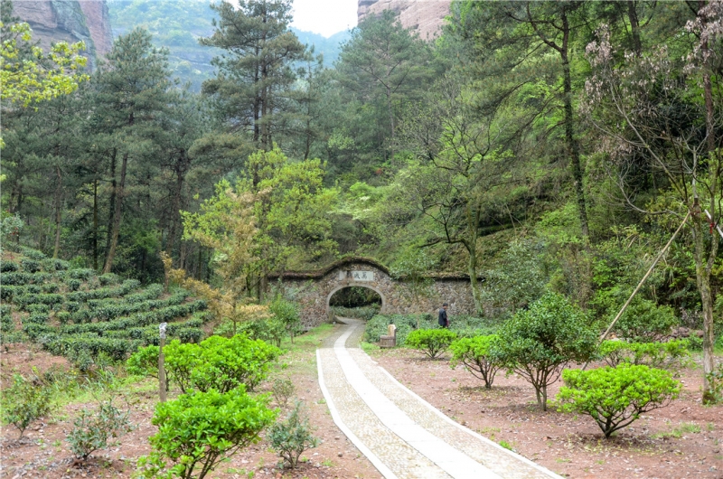 DSC_4317.jpg