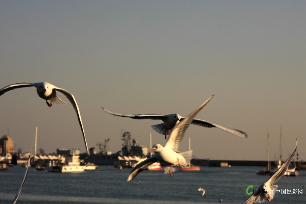 _MG_4919.JPG