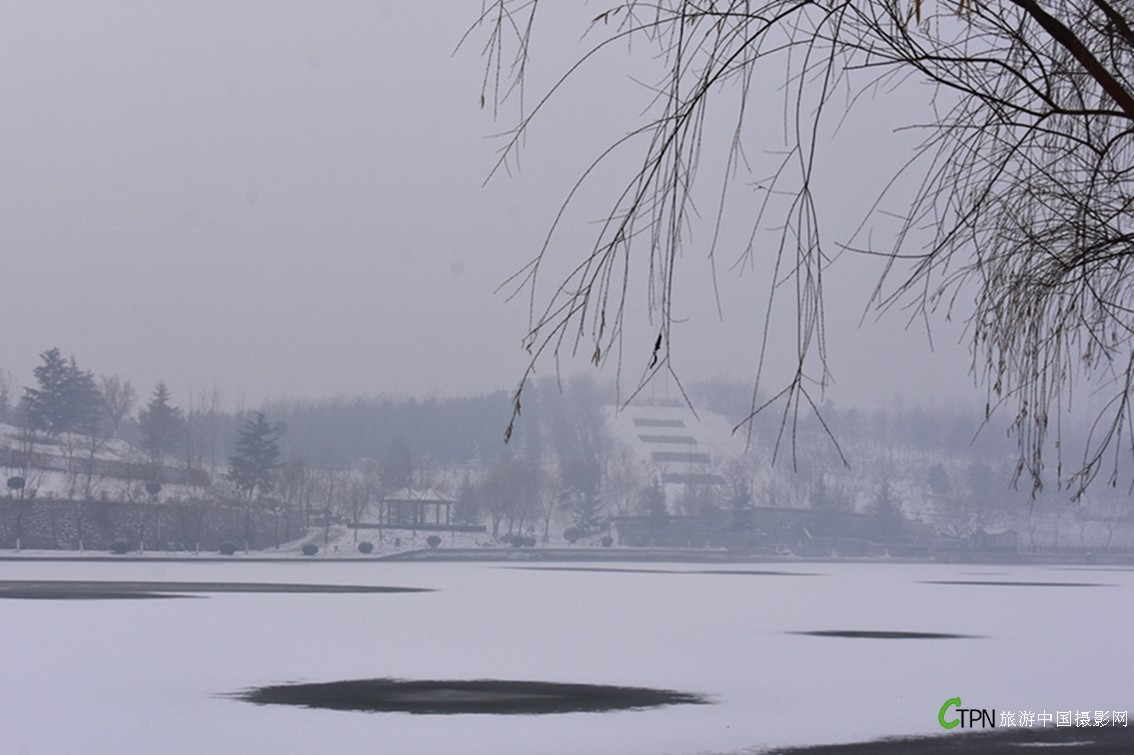 DSC_1237.JPG