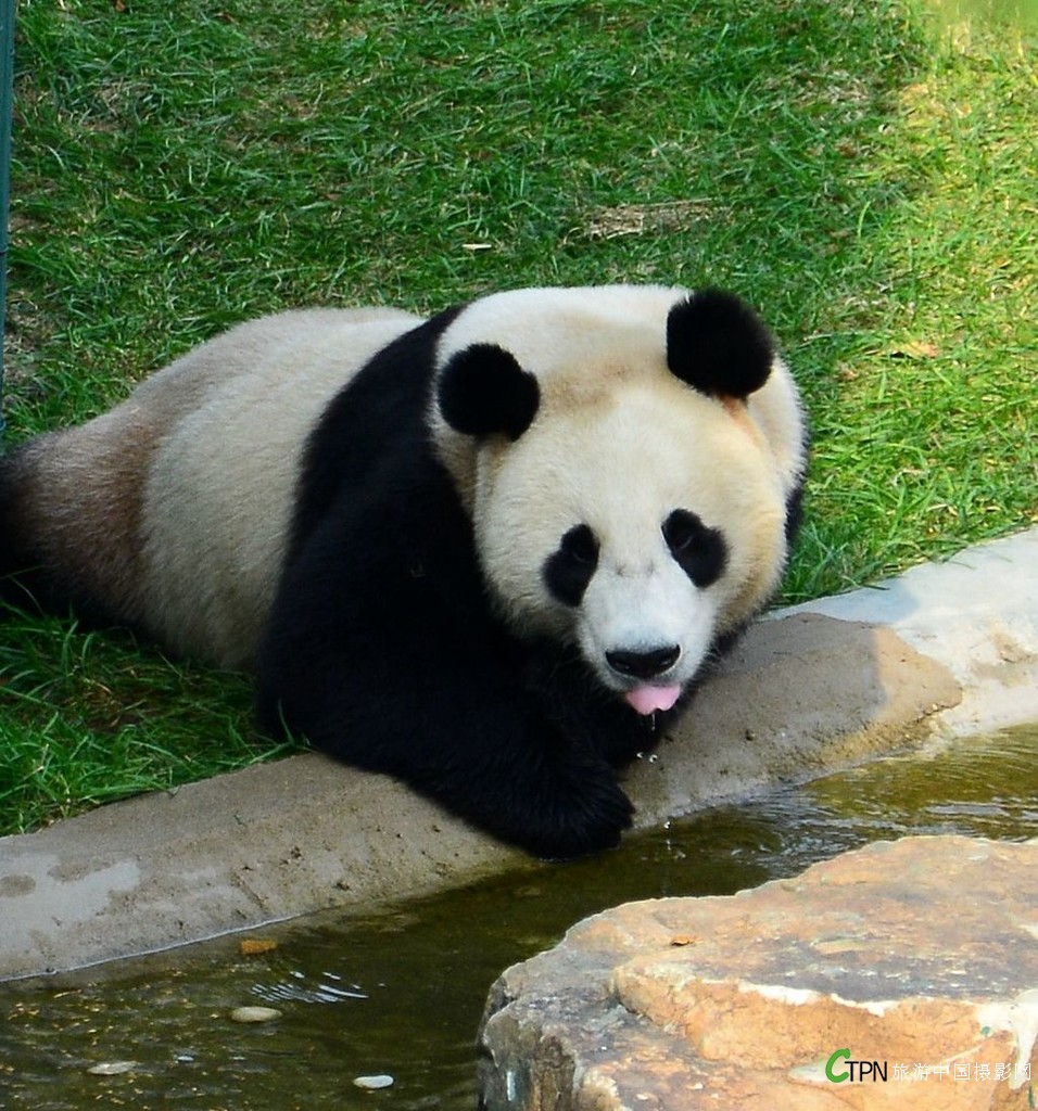 DSC_0825_副本.jpg
