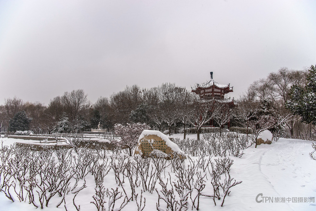 _DSC4525_副本.jpg