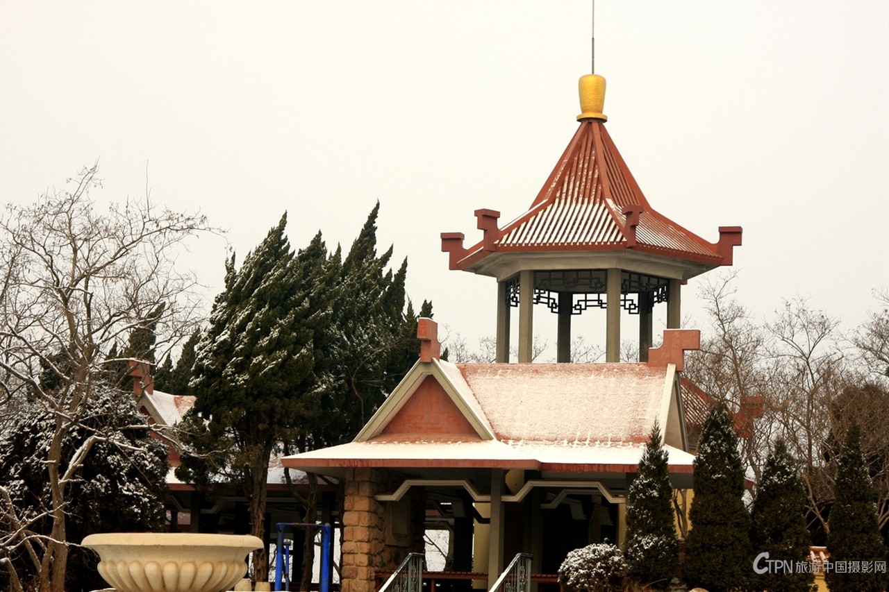 _MG_5100.JPG