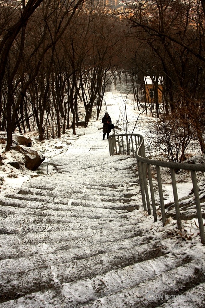 _MG_5110.JPG