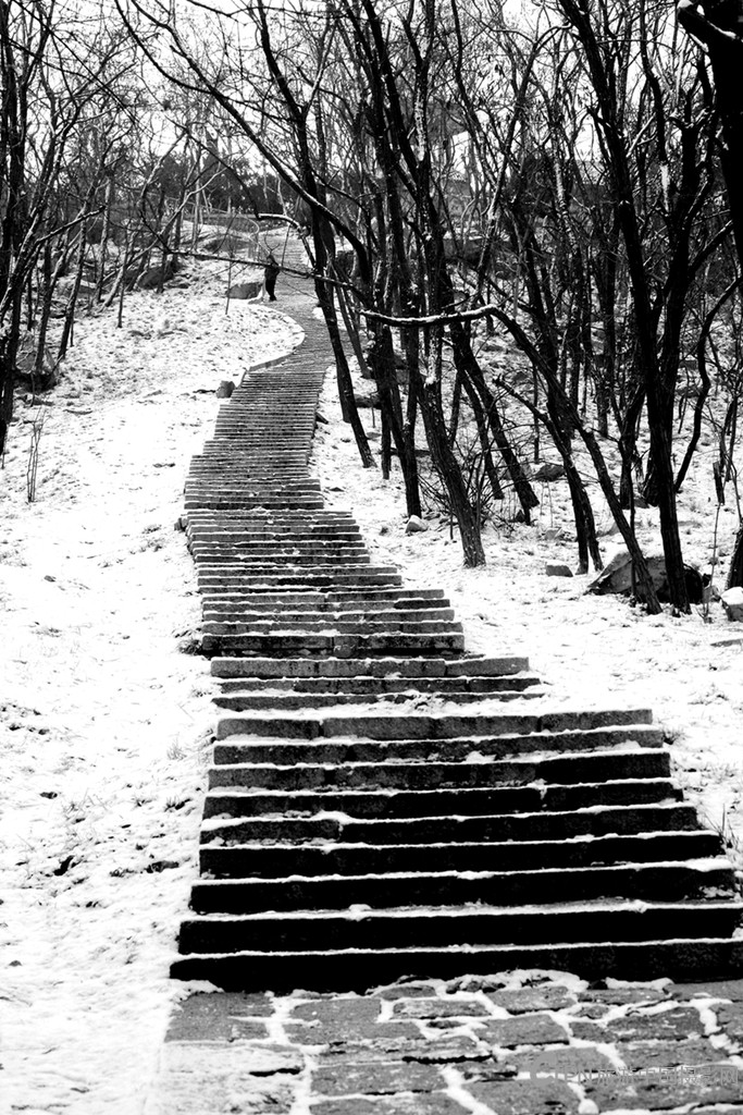 _MG_5111.JPG