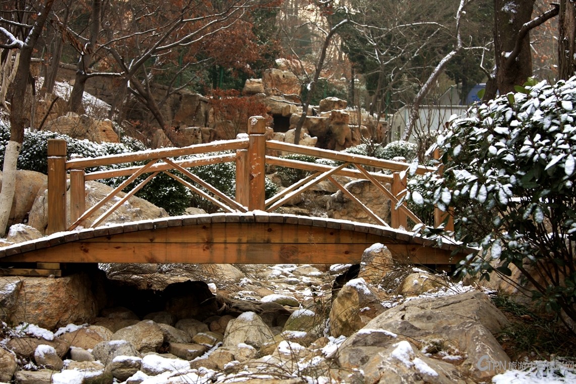 _MG_5115.JPG