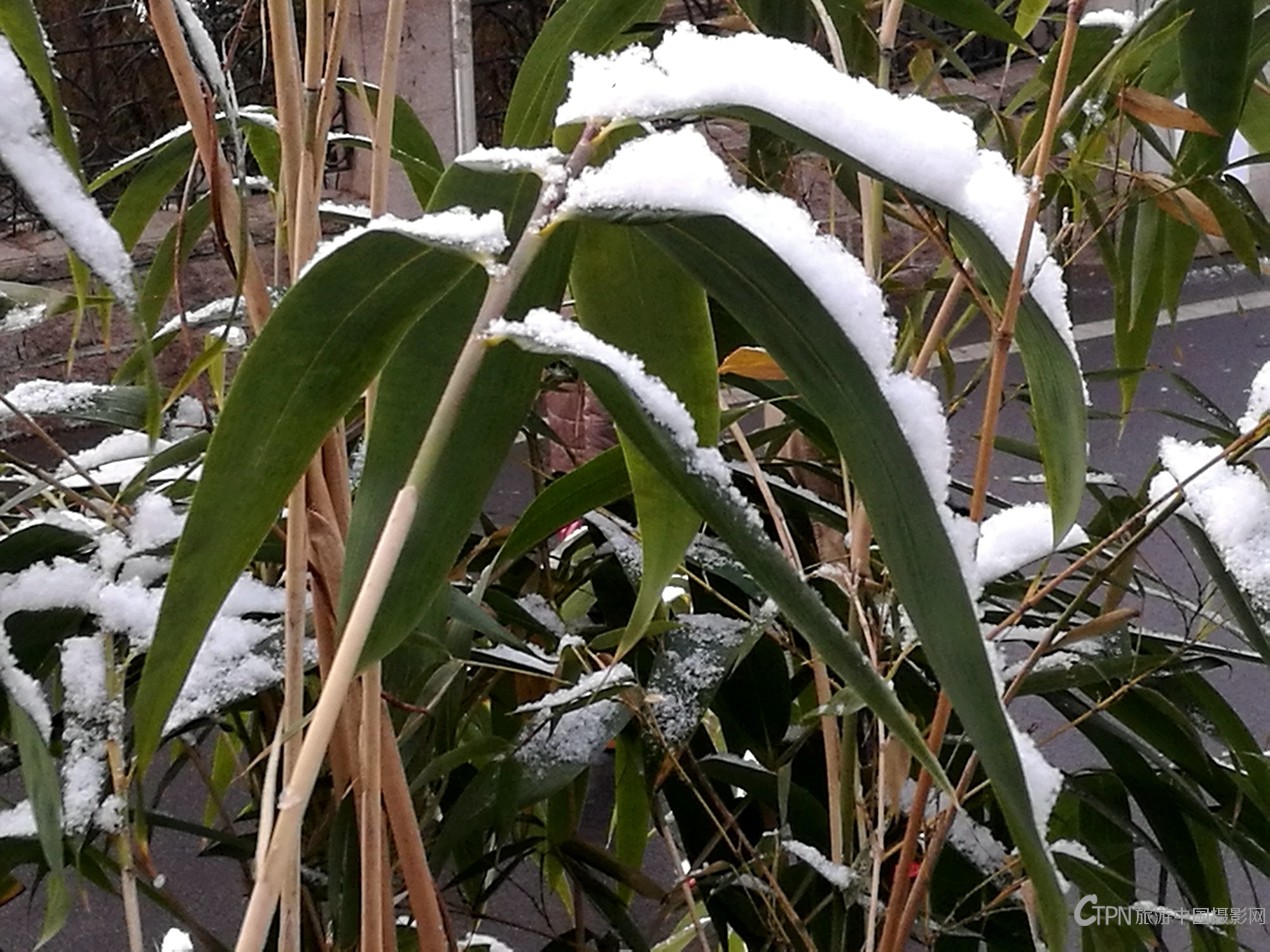 IMG_20180108_084642.jpg