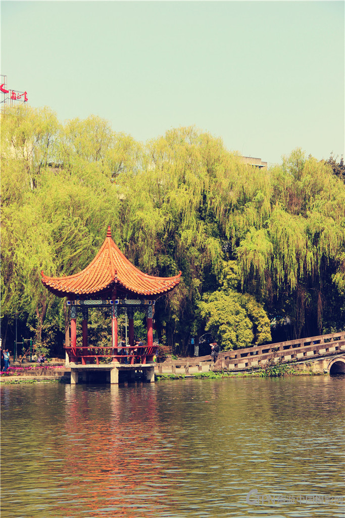 IMG_5596_副本.jpg
