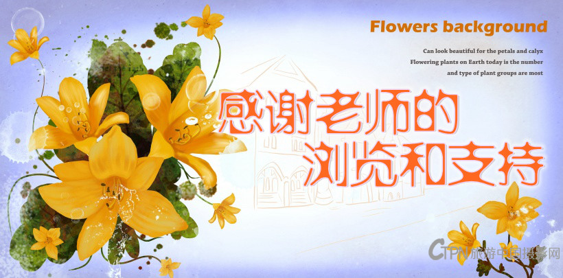 回复用花 (220).jpg