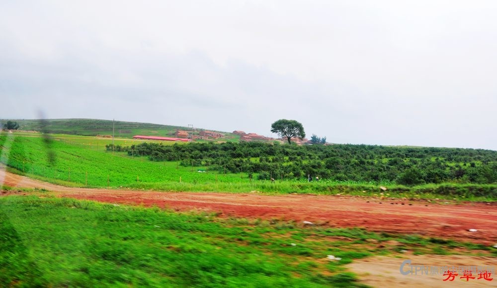 DSC_0648.jpg