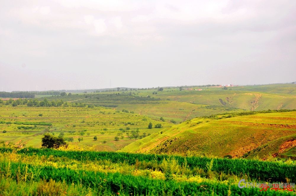 DSC_0655.jpg