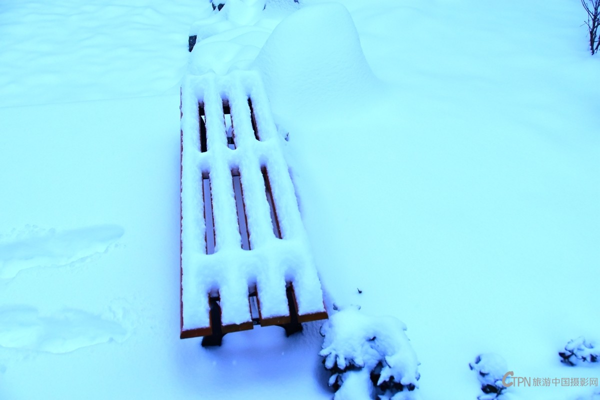 DSC_1627.JPG