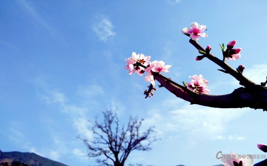 IMG_20160306_171212_副本.jpg
