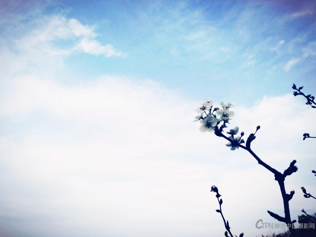 IMG_20160306_180723_副本.jpg