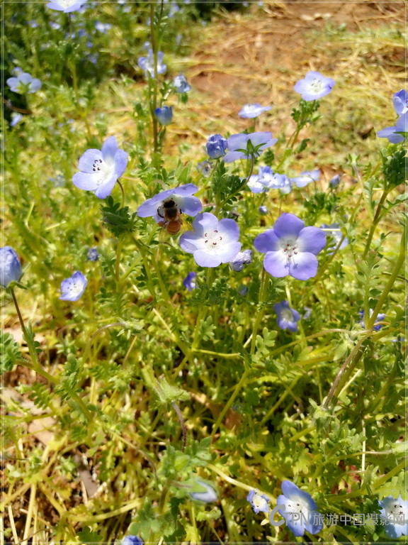IMG_20160404_135916_副本.jpg