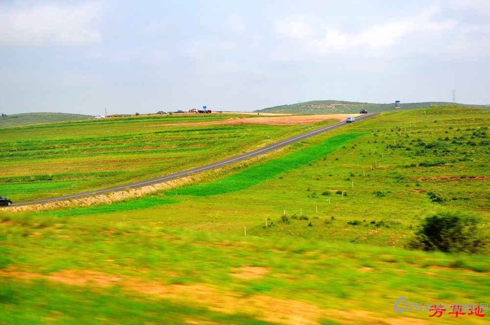 1=DSC_0708.jpg
