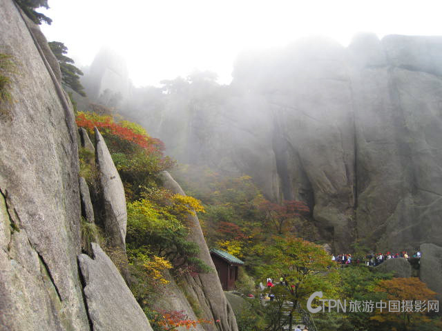 照片 391ps.jpg