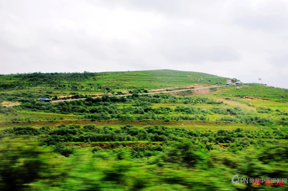 DSC_0733.jpg