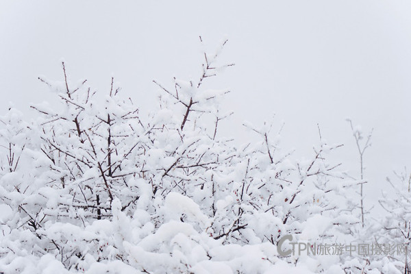 winter-1241267_960_720.jpg