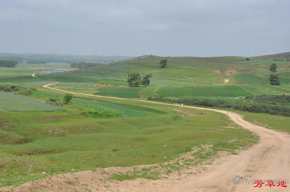 2=DSC_0780.jpg
