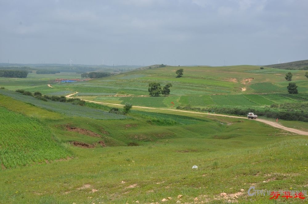 DSC_0784.jpg