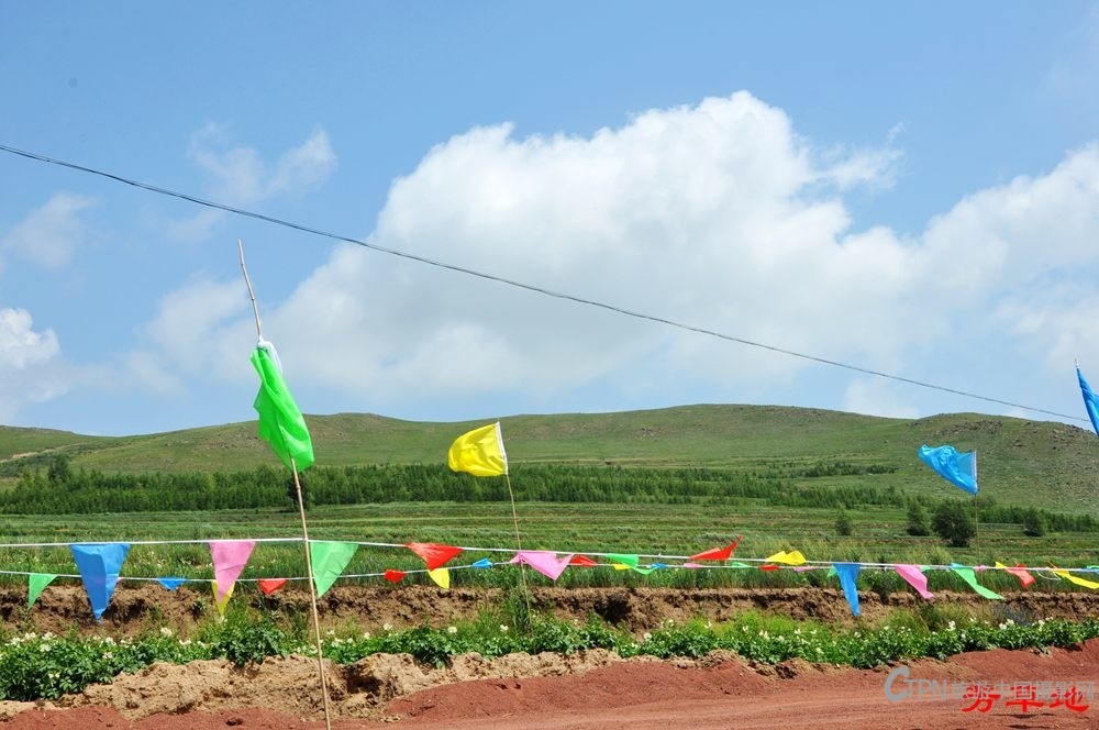 DSC_0795.jpg