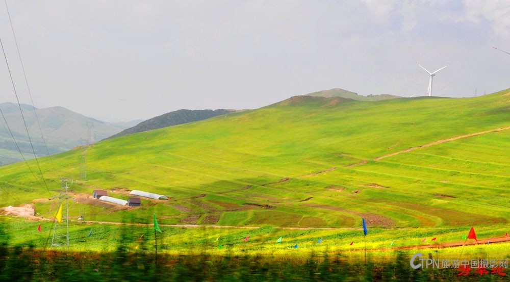 3=DSC_0842.jpg