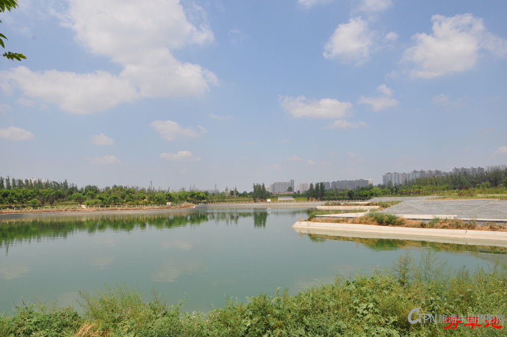 DSC_5225.jpg