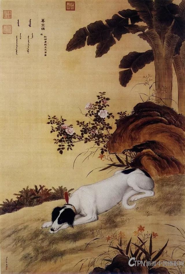 郎世宁画狗7.jpg