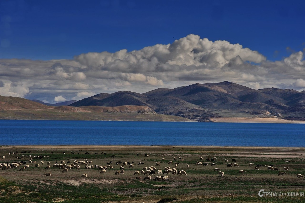 DSC_3517.JPG