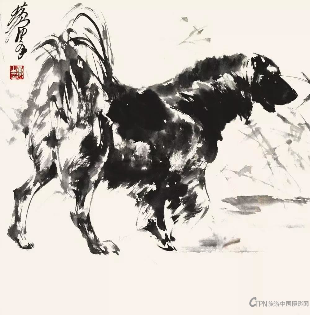 黄胄画狗2.jpg