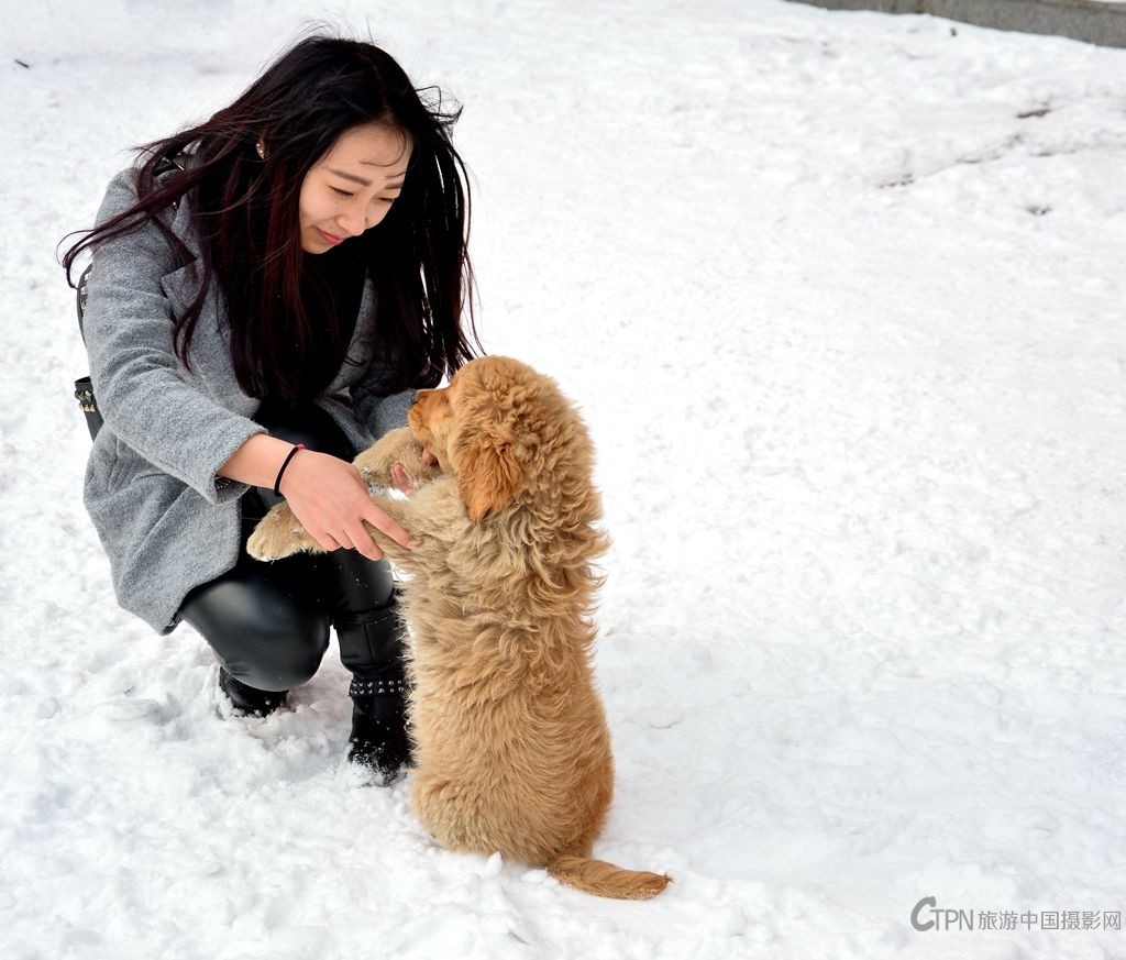 DSC_0337_副本.jpg