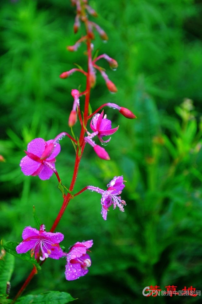 3=DSC_0003.jpg