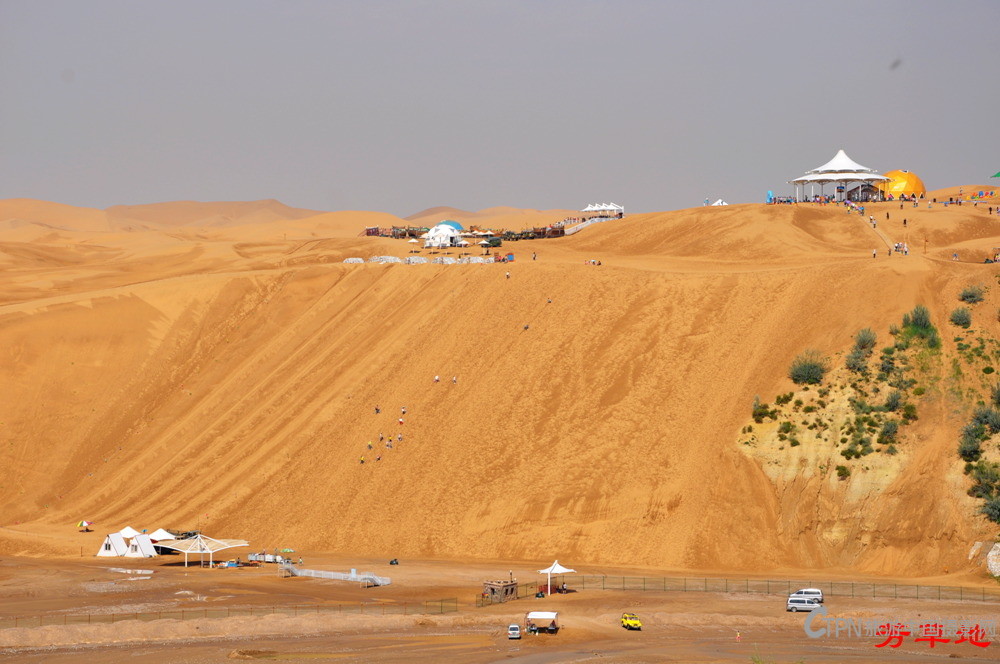 DSC_0615.jpg