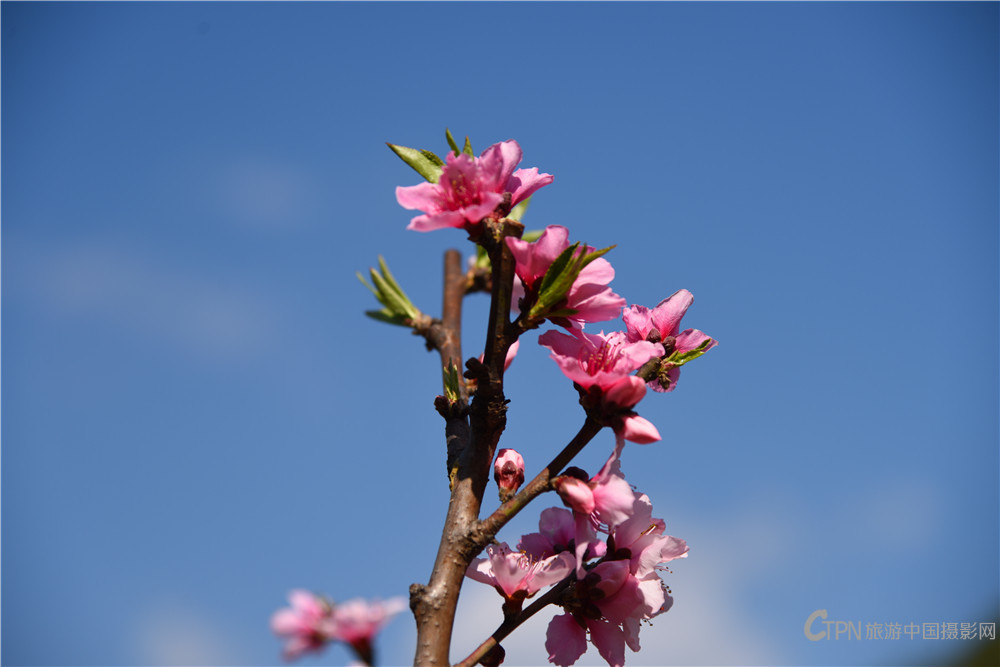 DSC_6771.jpg