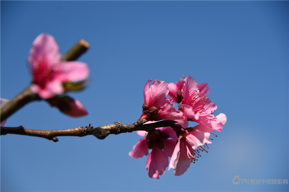 DSC_6775.jpg