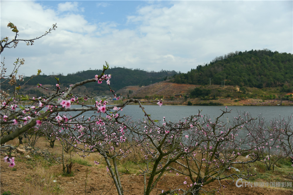 DSC_6797.jpg
