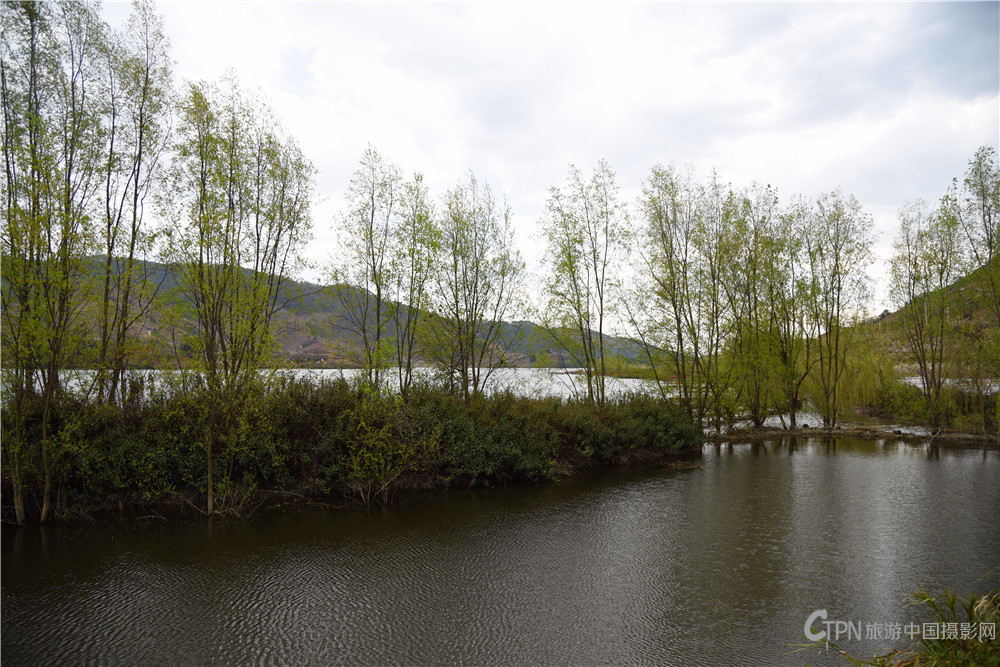 DSC_6888.jpg