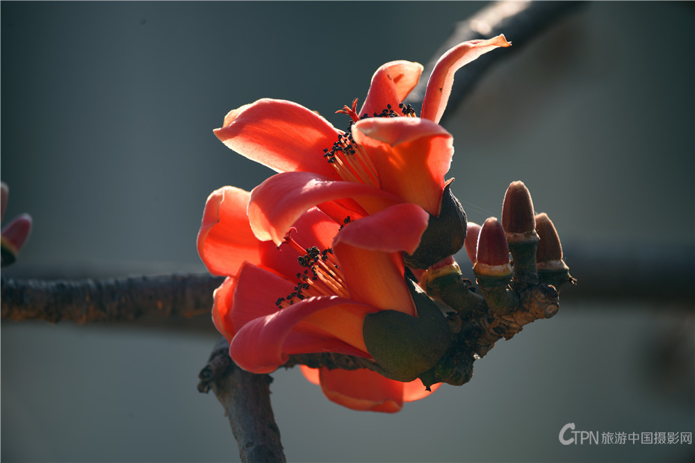 DSC_6281.jpg