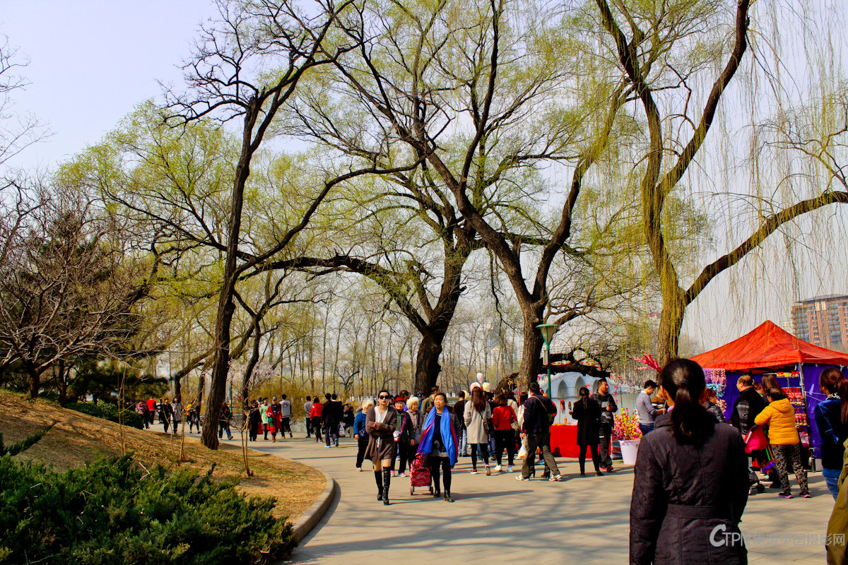 20170315-IMG_1415.jpg