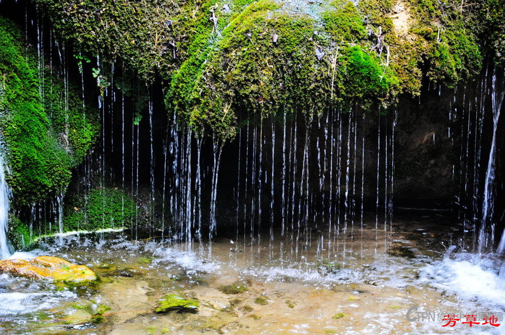 DSC_0638.jpg