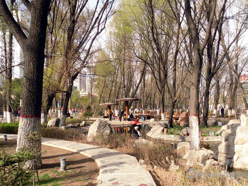 SDC10468_副本.jpg